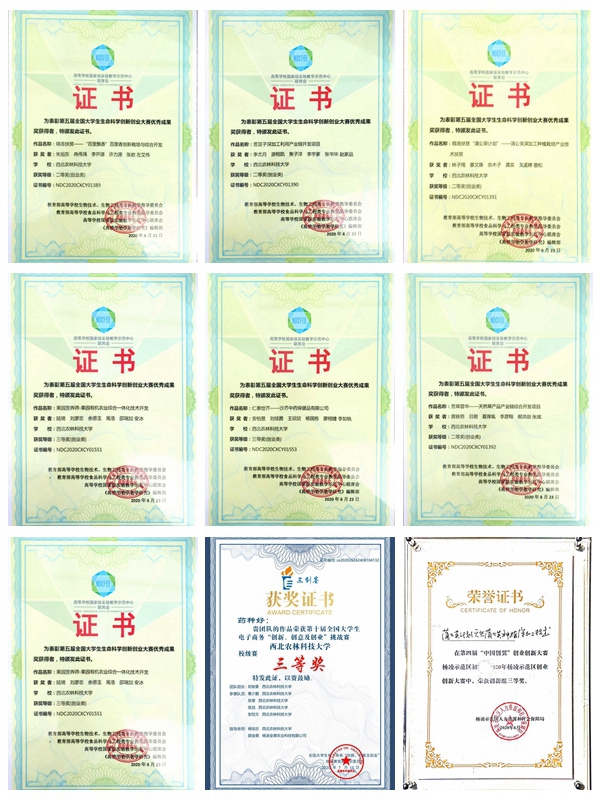 av在线学生在2020年各项全国大学生创新创业中取得优异成果.jpg